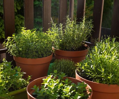 How to create a balcony herb garden: for a fragrant space | Balcony Vegetable Garden, Balcony Herb Gardens, Herb Containers, Herb Garden Design, Herb Gardens, Balcony Patio, Indoor Vegetable Gardening, Interior Design Advice, Vegetable Gardening