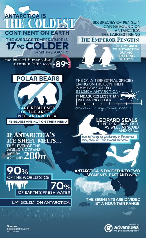 Learning About the Continents FREE Printables and Resources on Antarctica - Homeschool Giveaways Animals And Their Habitats, Antarctica Travel, Travel Facts, World Geography, G Adventures, Marine Biology, Ice Age, Other Countries, Study Unit