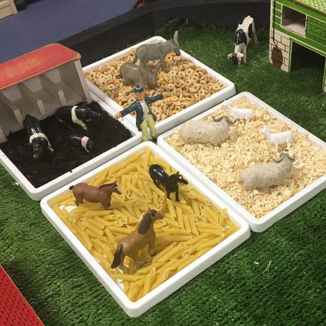 Farm Small World Play, Farm Provocation, Farm Crafts Preschool, Tuff Tray Ideas Toddlers, Farm Animals Activities, Winter Activities Preschool, Farm Preschool, Baby Sensory Play, Nursery Activities