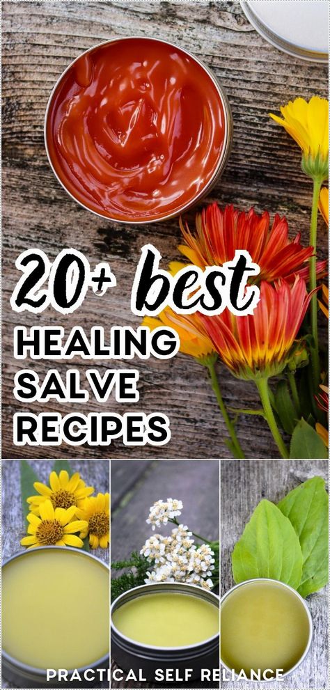 Discover the magic of herbalism with this collection of over 20 healing salve recipes. Unveiling the secrets of various herbs for health, this compilation offers an assortment of natural remedies to soothe, heal, and nourish. Whether you're an herbalism novice or a seasoned enthusiast, this selection promises to deepen your understanding of medicinal plants and their uses. Find more Natural Remedies at Practical Self Reliance. Homemade Salve Recipes, Medicinal Plants And Their Uses, Herbal Salve Recipes, Salves And Balms, Plants And Their Uses, Herbalism For Beginners, Balms And Salves, Healing Salve Recipe, Homemade Salve