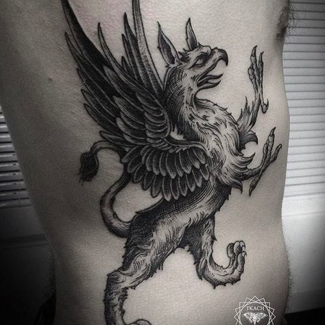 Griffon Tattoo, Gryphon Tattoo, Celtic Warrior Tattoos, Griffin Tattoo, Lord Of The Rings Tattoo, Hawk Tattoo, Funky Tattoos, Awesome Tattoo, Fire Tattoo