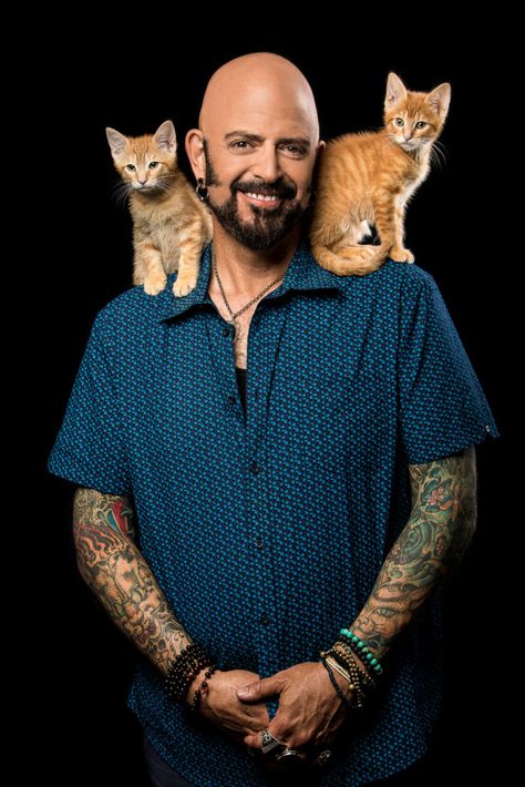 Jackson Galaxy, Person Falling, Cat Info, Getting Back In Shape, Cat People, Cat Behavior, The Time Is Now, Animal Planet, All About Cats