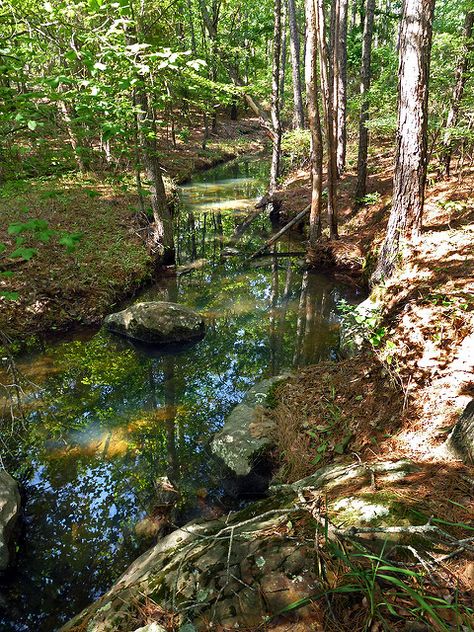 Spring In The Woods, Hiking In The Woods, Walks In The Woods, Stream In The Woods, Long Walk Aesthetic, Summer In The Woods, Living In The Woods Aesthetic, Things To Do In The Woods, Woods Astethic