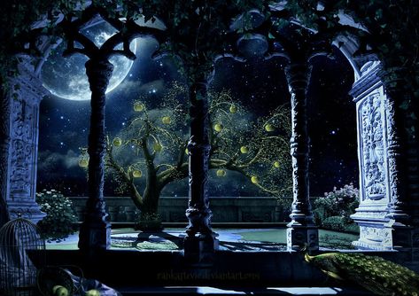 Gothic Landscape, Moon Kingdom, Gothic Garden, Palace Garden, Vivid Dreams, Fire Bird, Night Garden, Fantasy Places, Night Aesthetic