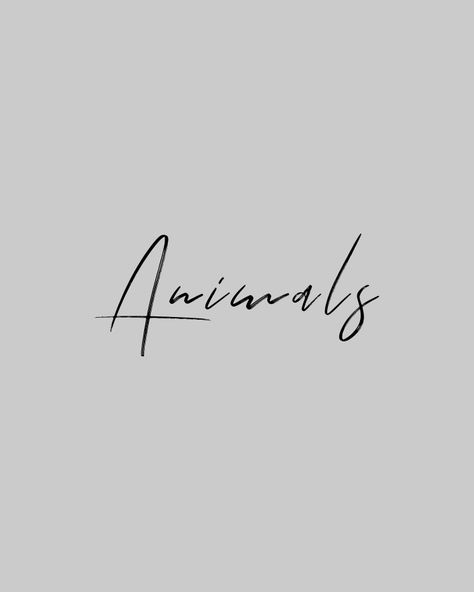 Animals Highlight Cover, Animals Instagram Highlight Cover, Insta Pfp, Highlight Cover, Highlight Covers, Insta Stories, Story Highlights, Insta Story, Highlights