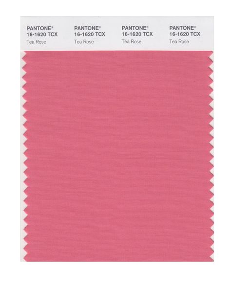 PANTONE SMART 16-1620X Color Swatch Card, Tea Rose - Wall Decor Stickers - Amazon.com Pantone Tcx, Color Trends Fashion, Decor Stickers, Rose Wall, Tea Rose, Wall Decor Stickers, Soft Summer, Aesthetic Colors, Color Swatch