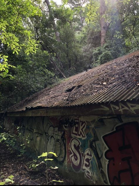 Dystopian Aesthetic, Abandoned Places, Image Boards, Cyberpunk, Graffiti, Forest, Nature