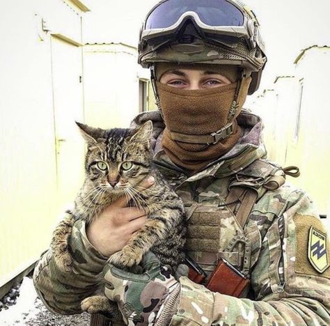 Army Cats, Hot Army Men, Harley Quinn Artwork, Stray Cats, Military Pictures, Bad Cats, Ukrainian Art, Army Love, Military Photos