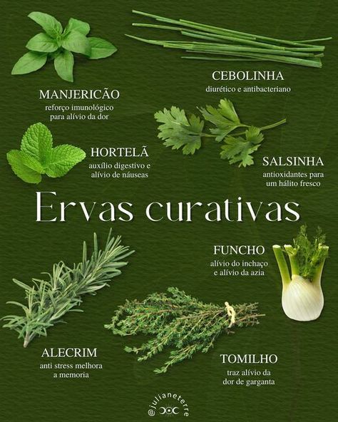 Herb Diet, Herbal Magic For Wiccans, Magia Das Ervas, Natural Magic, Herbal Magic, Wiccan Spells, Green Witch, Natural Herbs, Green Life