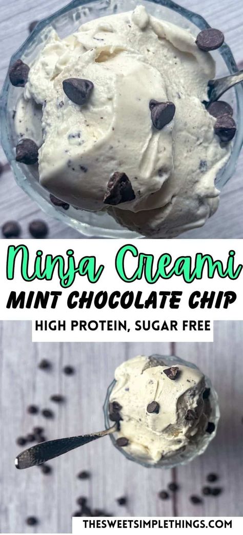 This high-protein, healthy Ninja Creami mint chocolate chip ice cream recipe is refreshing, rich, creamy, and filling! With over 60 grams of protein per pint, this is perfect for healthy ice cream recipes, high protein snacks or low sugar desserts to help you reach your protein targets. Great addition to your Ninja Creami Protein Ice cream recipes collection, healthy Ninja Creami recipes, & protein Ice Cream recipes. Healthy Mint Chocolate Chip Ice Cream, Creami Protein Ice Cream, Low Sugar Ice Cream, Ice Cream Maker Recipes Healthy, Ninja Creamy, Ninja Ice Cream Recipe, Protein Ice Cream Recipe, Protein Ice Cream Recipes, Nice Cream Recipe