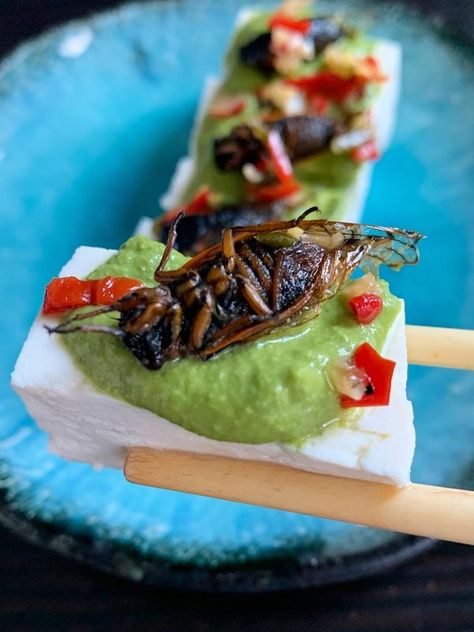 Cooking Insect-Based Dishes With Joseph Yoon - Atlas Obscura Experiences Edible Bugs, Weird Snacks, Edible Insects, Basic Kitchen, Course Meal, Sustainable Food, Protein Pack, Flavor Profiles, Food Industry