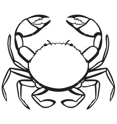 crab graphics | Use these free images for your websites, art projects, reports, and ... Crab Outline, Crab Silhouette, Crab Clipart, Mud Crab, Draw Watercolor, Sea Drawing, Crab Art, Mermaid Drawings, Free Clipart Images