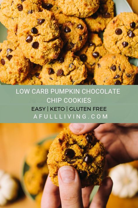 Pumpkin Puree Recipes Healthy, Pumpkin Chocolate Chip Cookies Easy, Healthy Fall Desserts, Low Carb Pumpkin Recipes, Puree Recipes, Pumpkin Puree Recipes, Keto Gluten Free, Chocolate Pumpkin, Keto Pumpkin