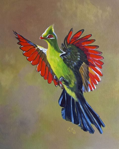 The Knysna turaco (Tauraco corythaix), or, in South Africa, Knysna loerie - Acrylic Painting Knysna Loerie, Knysna Turaco, Knysna, Sketches Of People, Portrait Sketches, South Africa, Acrylic Painting, Paintings, Quick Saves