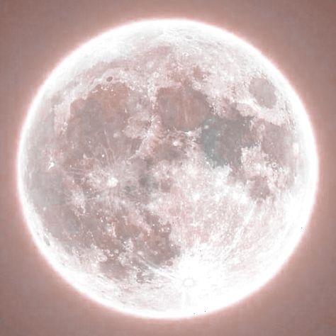 Cloud Garden, Apollo And Artemis, رورونوا زورو, In The Pale Moonlight, Daughter Of Zeus, Cute Small Animals, The Moon Is Beautiful, Baby Pink Aesthetic, Moon Photography