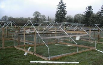 10x12 pastured poultry shelter Chicken Business, Pastured Poultry, Livestock Shelter, Homesteading Animals, Meat Birds, Shed Makeover, Broiler Chicken, Poultry Feeders, Farming Life