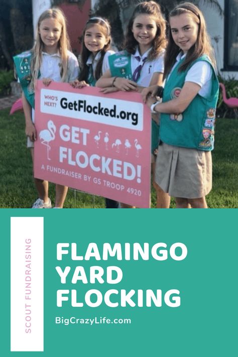 Girl Scout Fundraising Ideas, Flocking Fundraiser, Flamingo Fundraiser, Scout Fundraising Ideas, Kids Earning Money, Girl Scout Meeting Ideas, Girl Scouts Cadettes, Brownie Scouts, Scout Mom