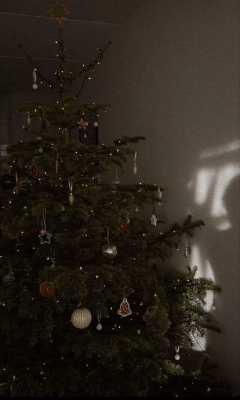 Evergreen Christmas Aesthetic, Gloomy Christmas Aesthetic, Christmas Aesthetic Dark, Dark Christmas Aesthetic, Dark Christmas Tree, Dark Christmas, Christmas Tree Inspiration, Christmas Time Is Here, Christmas Feeling