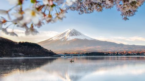 The 51 Most Beautiful Places in the World, from Remote Islands to Colorful Mountain Ranges | Condé Nast Traveler Drake Passage, Best Travel Destinations, Landscape Images, Colorful Mountains, Plitvice Lakes National Park, Travel Landscape, Plitvice Lakes, Remote Island, Mount Fuji