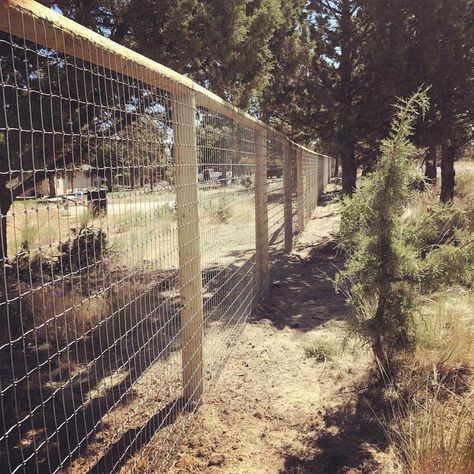 Dog Yard Fence, Dog Fence Ideas, Backyard Dog Area, Dog Yard, Pet Fence, Dog Pen, Dog Area, Dog Kennel Outdoor, Dog Rooms