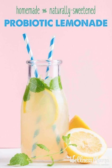 Probiotic Lemonade, Whey Recipes, Fermented Drinks, Kombucha Starter, Wellness Mama, Fermentation Recipes, Dairy Free Yogurt, Lemonade Recipe, Fermented Drink