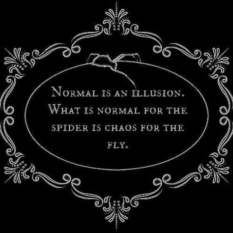 Perception Normal Is An Illusion, Scary Quotes, The Spider, The Fly, A Sign, Pretty Words, Marvel Universe, The Words, Writing Prompts