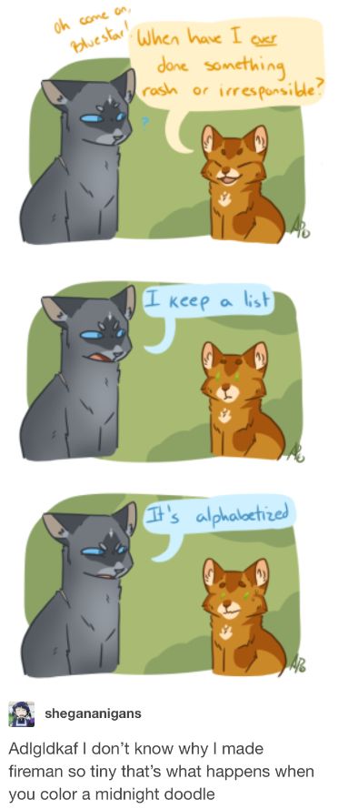 Tiny Warrior Cats, Cute Warrior Cats Art, How To Draw Warrior Cats, Tigerstar Warrior Cats, Jayfeather Warrior Cats, Bluestar Warrior Cats, Warrior Cats Jayfeather, Warrior Cats Quotes, Caine Husky