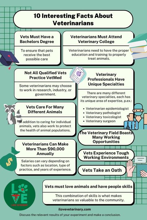 Did you know that veterinarians have one of the highest job satisfaction rates or that they are more likely to be women than men? Here are 10 interesting facts about veterinarians that you may not know. Think you know everything there is to know about veterinarians? Think again! Here are 10 interesting facts that may just surprise you about your friendly neighborhood vet. Discover the full article: https://iloveveterinary.com/blog/10-interesting-facts-about-veterinarians/ Vet School Motivation, Becoming A Veterinarian, Veterinary Surgeon, Vet Tech School, Medicine Studies, Vet Assistant, Animal Medicine, Vet Medicine, 10 Interesting Facts