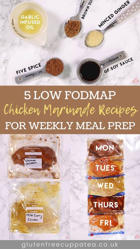 Low Fodmap Chicken Seasoning, Low Fodmap Spices, Fodmap Chicken Marinade, Ibs Meals, Lowfod Map, Fodmap Sauces, Impressive Food, Healing Habits, Fodmap Meals