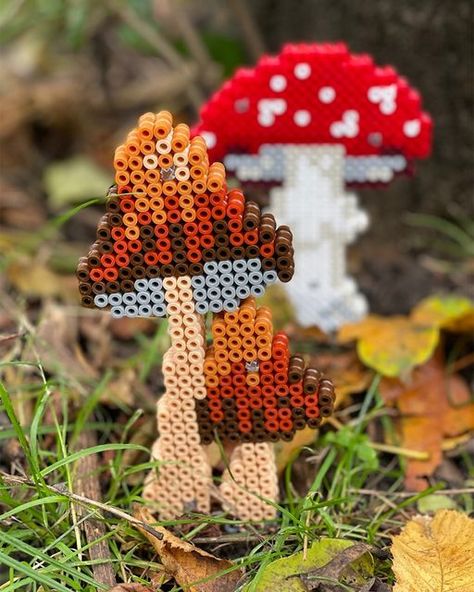 Beautiful Mushrooms, Colourful Things, Walk In The Forest, Pearl Beads Pattern, Instagram Autumn, Hama Perler, Perler Bead Art, Perler Bead Patterns, Hama Beads