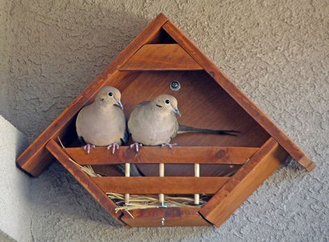 Here at Lovey Dovey Birdhouses we design & produce beautifully functional dove houses for Mourning Doves. Welcome to our world :) Dove Nest, Wood Joining, Dove House, Side Patio, Homemade Bird Houses, Bird House Feeder, Tall Bookcase, Bird House Plans, Bird Box