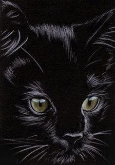 Noir Painting, Black Cat Kitten, Cats Art Drawing, Scratchboard Art, Black Paper Drawing, Drawing Table, Scratch Art, Black And White Cat, Black Cat Art