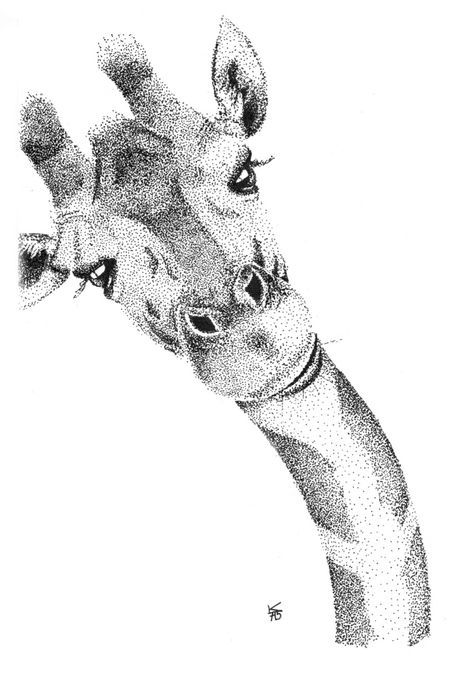 Giraffe, african animals, africa, pointillism, dotwork, stippling, black and white, illustration Pointalism Art, Pointillism Tattoo, Stippling Drawing, Animals Africa, Dotted Drawings, Stippling Art, Funny Giraffe, Pen Art Drawings, Giraffe Art