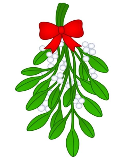 Christmas Mistletoe Aesthetic, Mistletoe Cartoon, Mistletoe Images, Mistletoe Drawing, Mistletoe Clipart, Christmas Mistletoe, Christmas Leaves, Christmas Drawing, Christmas Vectors