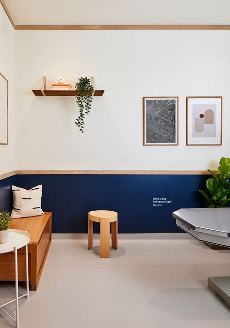 Islyn Studio creates soothing atmosphere in Brooklyn’s Bond Vet clinic Studio Medico, Modern Offices, Vet Office, Cabinet Medical, Vet Clinic, Dog Milk, Reception Desks, Office Reception, Hospital Design