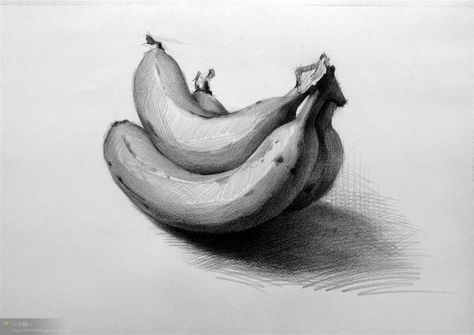 Still Life Pencil Shading Fruits, Fruit Pencil Drawing, Still Life Sketch, Fruit Sketch, Pencil Drawing Ideas, Fruit Art Drawings, Ocean Waves Painting, Fruits Drawing, Observational Drawing