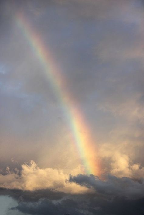 guardare l'arcobaleno Angel Clouds, Feyre Archeron, Rainbow Pictures, Rainbow Sky, Rainbow Aesthetic, Aesthetic Pastel Wallpaper, Cute Backgrounds, Beautiful Rainbow, Over The Rainbow