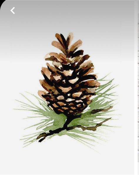 Pinecone Watercolor, Pinecone Painting, Watercolour Inspiration, Camping Decor, Card Inspo, Xmas Card, Sketches Easy, Art Workshop, Pine Cone