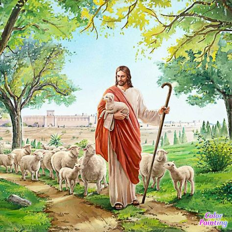 See my new artwork at Color Painting !! Lds Pictures, Christ The Good Shepherd, Catholic Artwork, Noli Me Tangere, Jesus Christ Painting, Jesus Christ Artwork, Jesus And Mary Pictures, Jesus Photo, Jesus Christ Art