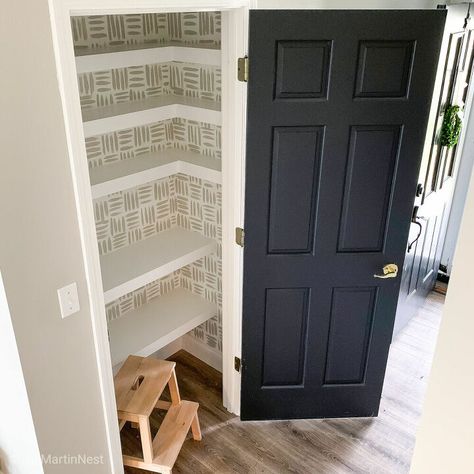 Wire Shelves In Bathroom, Best Small Pantry Design, Closet To A Pantry, Shelves In Pantry Closet, Hall Closet To Pantry Conversion, Coat Closet Pantry Ideas, Double Door Pantry Organization, Small Closet Pantry Ideas Layout, Closet Pantry Shelving Ideas