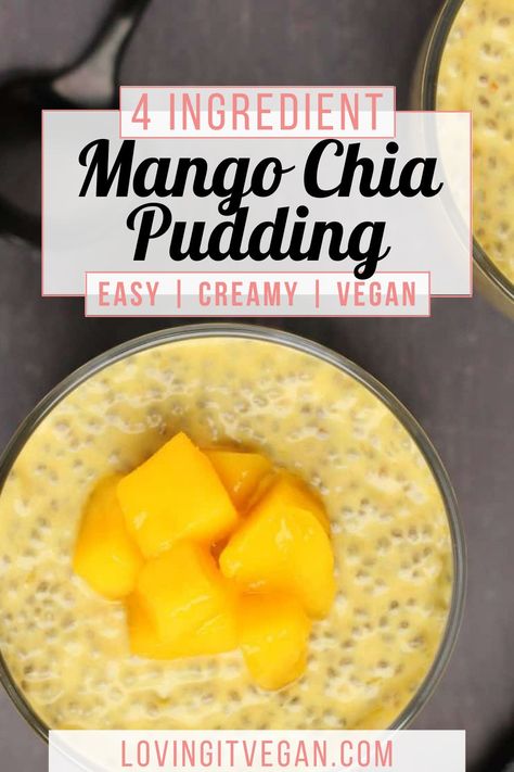 Mango Chia Pudding Recipes, Seeds Recipes, Chia Pudding Recipes Healthy, Mango Chia Pudding, Vegan Brunch Recipes, Dessert Vegan, Vegan Snack Recipes, Vegan Breakfast Easy, Chocolate Chia Pudding