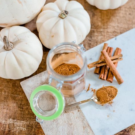 Easy DIY Pumpkin Pie Spice Mix Recipe Diy Pumpkin Spice, Pumpkin Pie Spice Mix, Diy Mommy, Pumpkin Spice Recipe, Snickerdoodle Recipe, Spice Mix Recipes, Seasonal Drinks, Spice Mix, Delicious Pumpkin