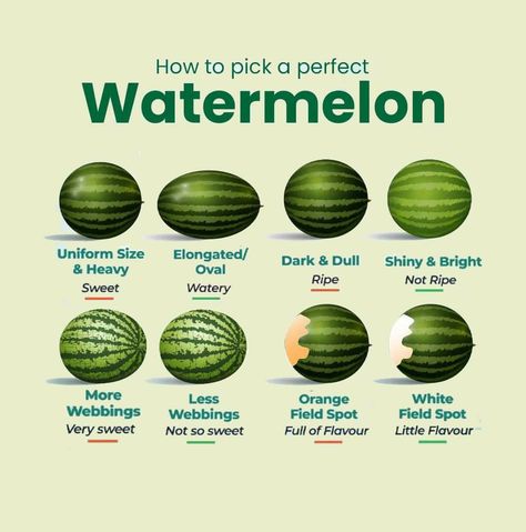 How To Pick The Best Watermelon, Watermelon Picking Tips, How To Pick A Good Watermelon, How To Find A Good Watermelon, How To Choose Watermelon, Picking Fruit, Fruit Dips, List Of Spices, Fruit Health