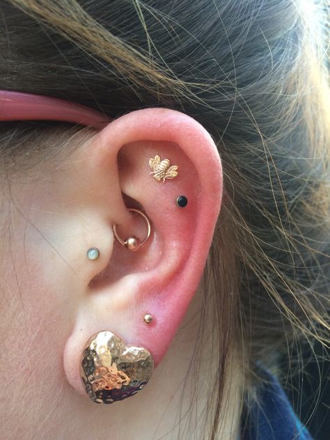 Nicole chose this rose gold bodygems bee to adorn her healed outer conch piercing 🐝✨💛 Conch Piercing Ideas, Tattoos Life, Inner Ear Piercing, Outer Conch Piercing, Outer Conch, Three Ear Piercings, Pretty Piercings, Cosplay Jewelry, Conch Earring