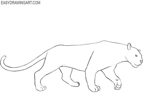 panther animal drawing How To Draw A Panther, Panther Animal Drawing, Black Panther Animal Drawing, Continous Line Drawing, Snow Panther, Black Panther Animal, Animal Drawing Ideas, Panther Drawing, Black Panther Drawing