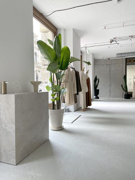 Minimal Boutique Interior, Fashion Pop Up Store, Retail Shop Design, Minimal Store, Sophie Paterson Interiors, Interior Design Plants, Fashion Showroom, Retail Store Interior Design, Clothing Store Interior