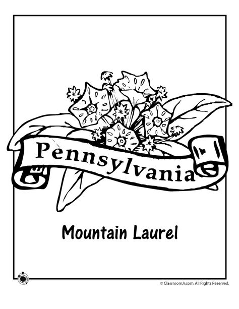 Pennsylvania State Flower Coloring Page | Woo! Jr. Kids Activities State Report Projects, Flag Coloring Pages, State Symbols, Mountain Laurel, Teaching Colors, Flower Coloring Pages, Flag Colors, State Flags, Free Printable Coloring