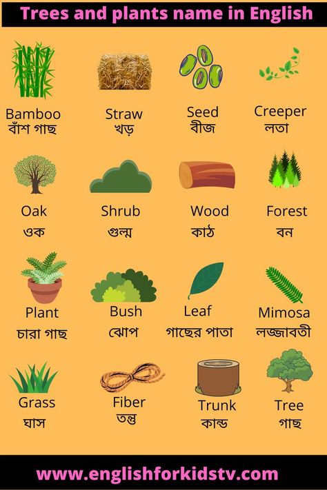 Different name of Trees and plants Trees and Plants name for kids Tree Parts, Name For Kids, Indigo Plant, Alphabet Activities Preschool, Activities Preschool, Alphabet Activities, Rainy Day Outfit, English Words, Pine Tree