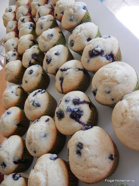 Frugal Homemaking: Big Batch Blueberry Muffins {Fill Your Freezer!} Fill Your Freezer, Frugal Homemaking, Oatmeal Chocolate Chip Muffins, Oatmeal Chocolate, Cooking For A Crowd, Freezer Cooking, Blueberry Muffins, Chocolate Chip Muffins, Frugal Meals