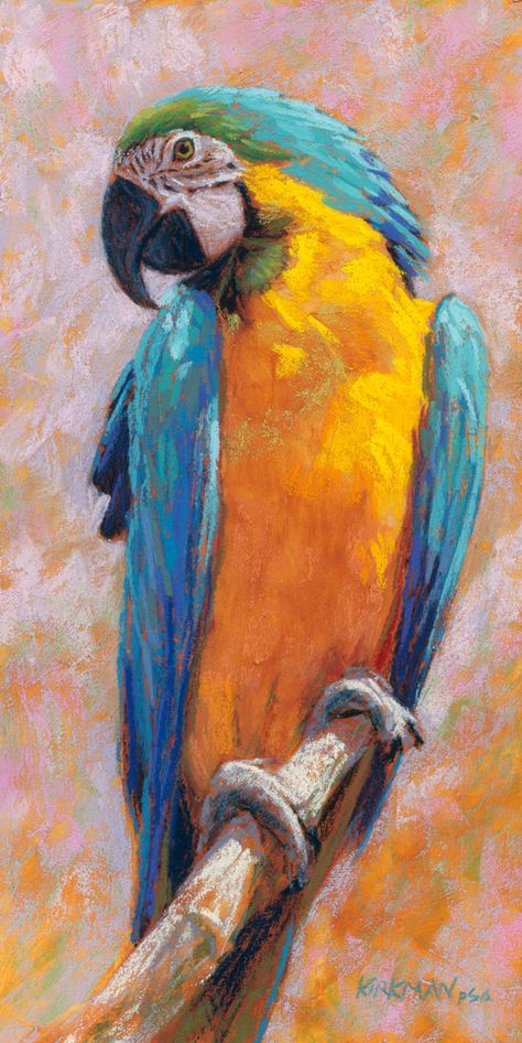 Wallpaper Dog Aesthetic, Animals And Pet Supplies, Macaw Art, Dog Tattoo Ideas, Parrot Painting, Wallpaper Dog, Aesthetic Dog, Dog Aesthetic, Parrots Art